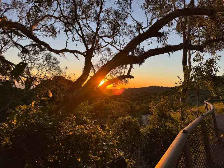 Car trip banner image