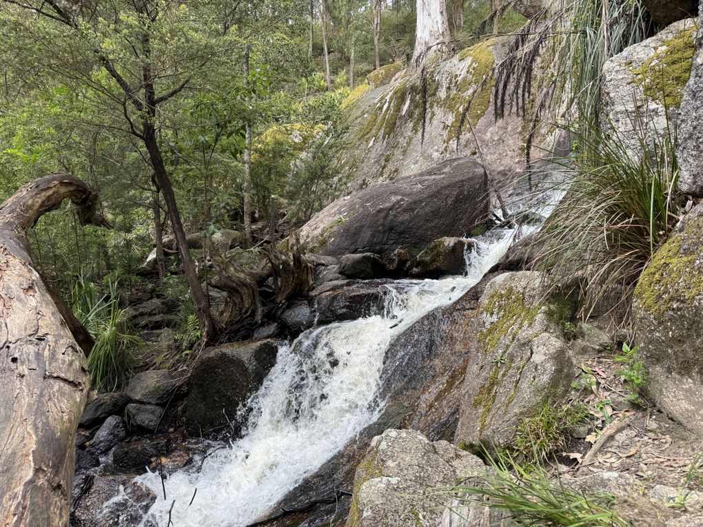 Car trip banner image